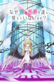 Why Does Nobody Remember Me in This World?: Season 1